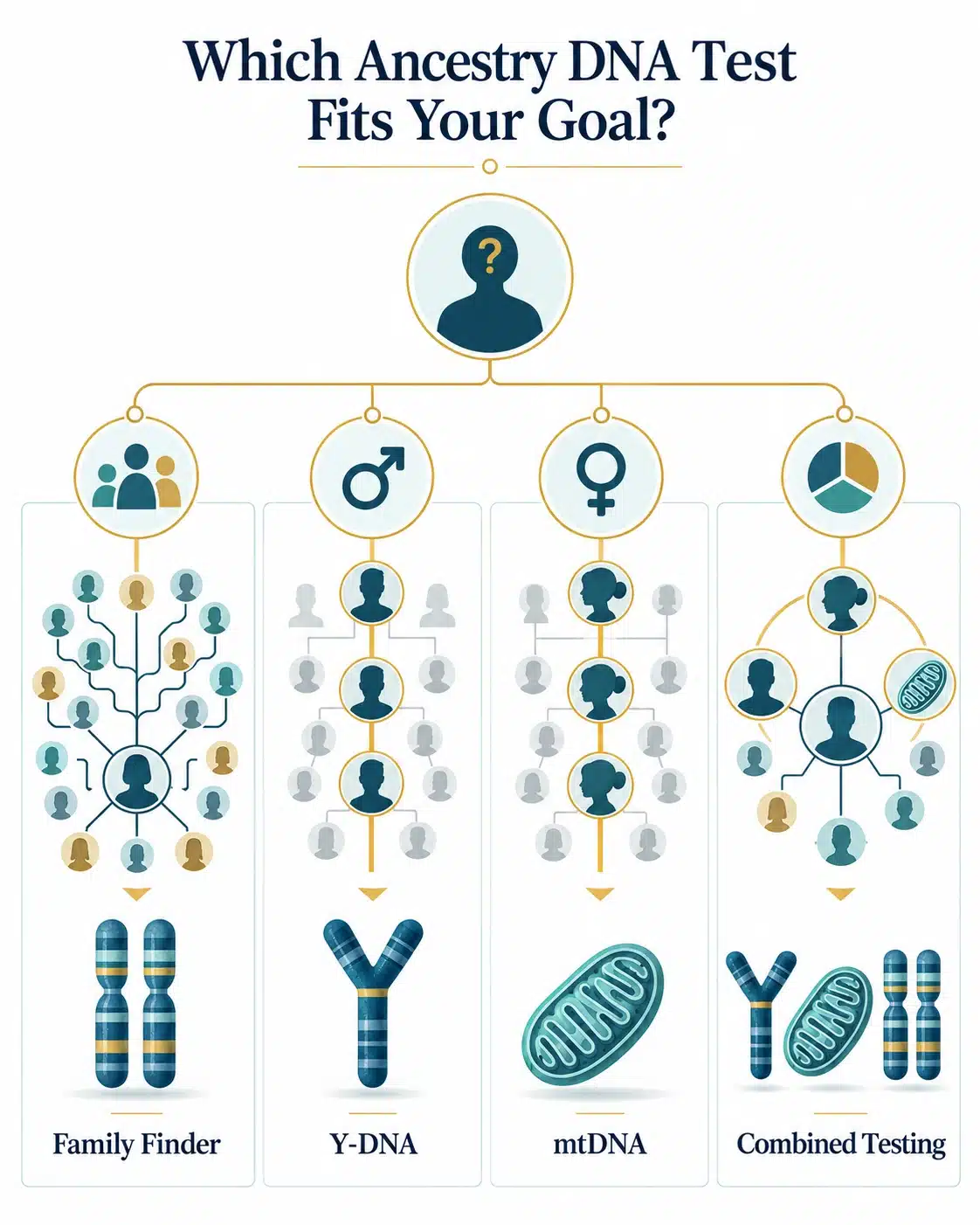 Visual ancestry DNA test selection guide comparing Family Finder, Y-DNA, mtDNA and combined testing.